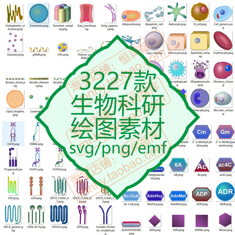 生物科研绘图svg素材细胞分子通道箭头受体配体元素蛋白矢量图