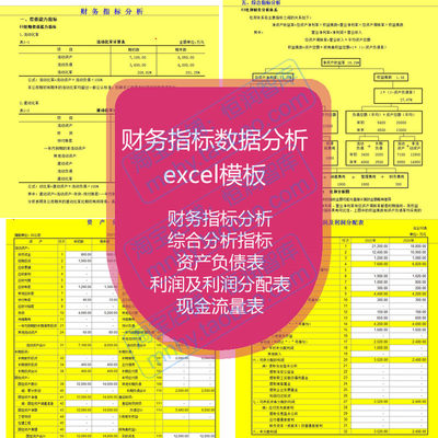 财务指标数据分析excel模板自动生成报表偿债运营获利发展能力