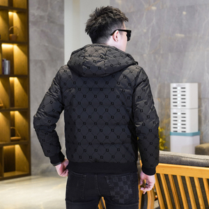 QT3019 Y9593  P300 2026年高品质连帽90白鸭绒植绒羽绒服图片