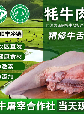 清真新鲜现杀牦牛肉牛舌头口条火锅高端食材青海特产天祝白耗牛肉