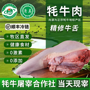 清真新鲜现杀牦牛肉牛舌头口条火锅高端食材青海特产天祝白耗牛肉