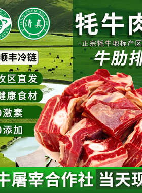 清真牦牛肉新鲜4斤青海西藏冰鲜天祝白耗牛肉生鲜散养牛肋排带骨