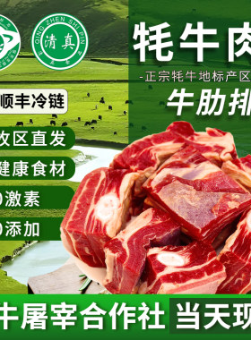 牦牛肉清真2kg现杀草膘青海甘南