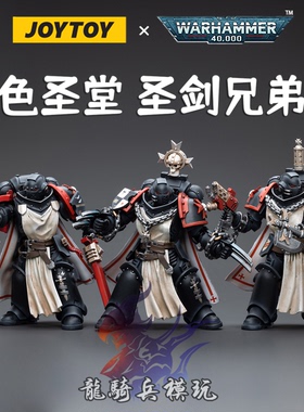 JOYTOY暗源战锤40K黑色圣堂原铸圣剑兄弟会JT3822可动兵人模型