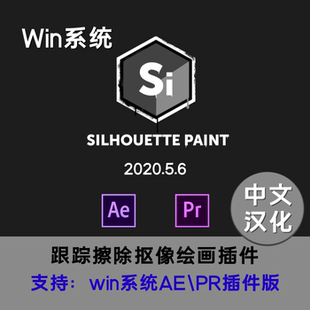 Win版中文汉化Silhouette Paint 2020.5.6AEPR跟踪擦除画笔插件