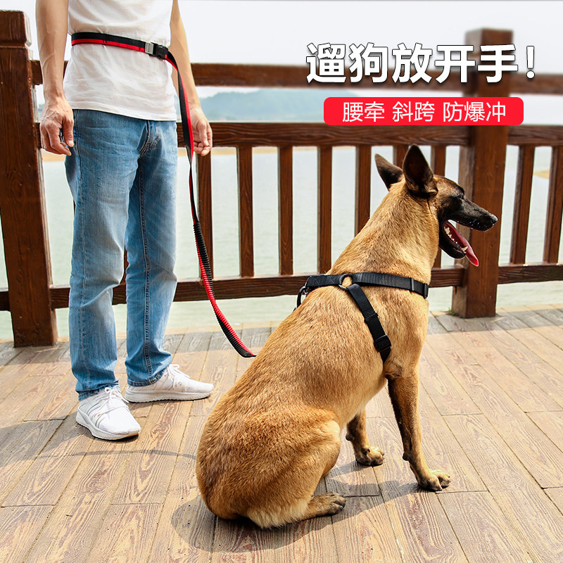 DODOPET跑步多功能遛狗绳围腰运动狗狗牵引绳解放双手防爆冲狗链,宠物/宠物食品及用品,狗牵引绳,淘宝优惠券,粉丝福利购,淘宝优惠卷