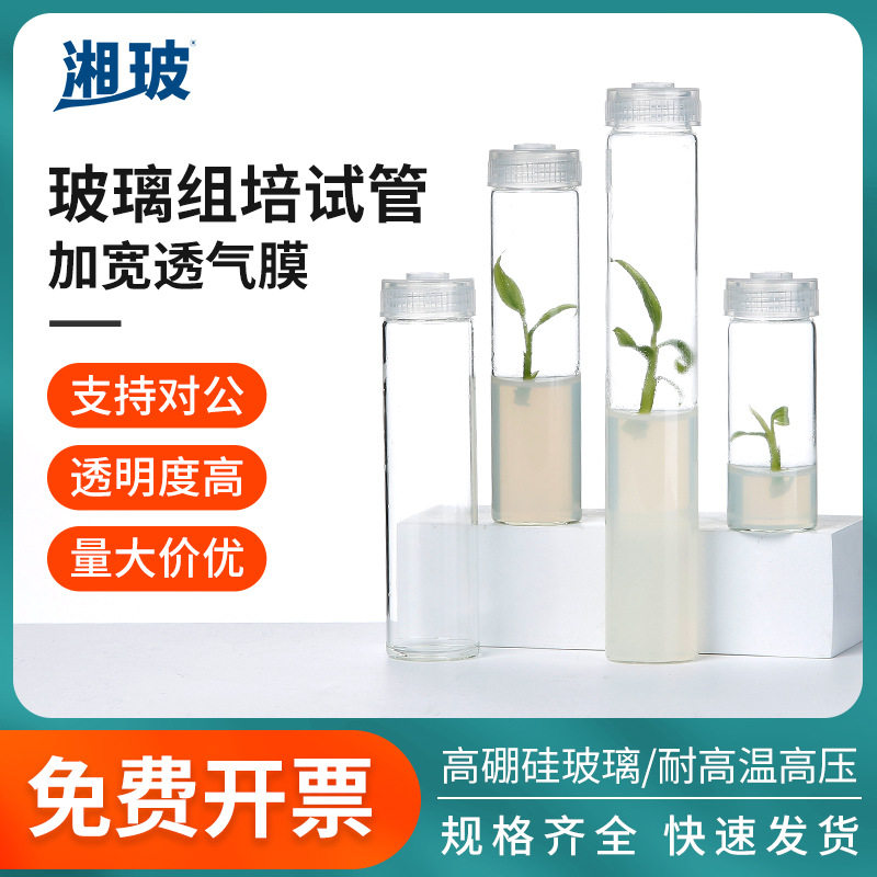湘玻玻璃组培试管高硼硅材质耐高温带透气盖组培瓶菌种瓶