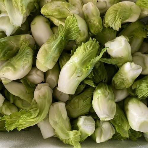 （官方力荐）小儿菜特小儿菜迷你