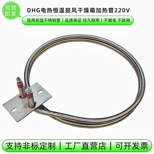 DHG恒温鼓风干燥箱烤箱电加热管