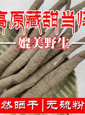 四川甜当归高原藏区土当归仿野生种植整根非云南凉山独角西归干货