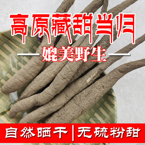 四川甜当归高原藏区土当归仿野生种植整根非云南凉山独角西归干货