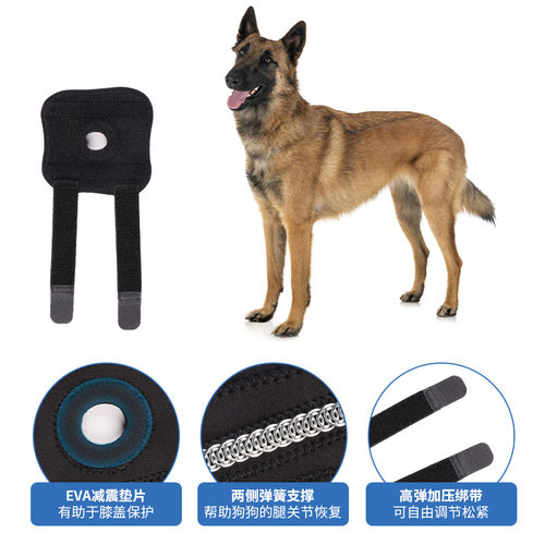 宠物狗狗护腿关节护膝髌骨防护