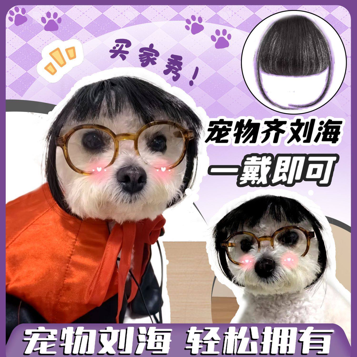 搞笑抖音同款齐刘海发饰猫狗假发橘猫金三柜同款装扮头套金渐层,宠物/宠物食品及用品,发饰/头饰,淘宝优惠券,粉丝福利购,淘宝优惠卷