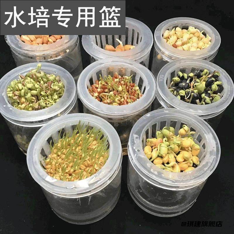 蔬菜固根器定植篮半透明种植杯绿植固定架定植篮无土栽花盆定植杯,家居饰品,仿真植物盆景,淘宝优惠券,粉丝福利购,淘宝优惠卷
