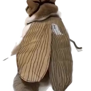 宠物衣服手工衣纯情蟑螂火辣辣宠物装饰猫咪蟑螂服猫衣服条纹创意