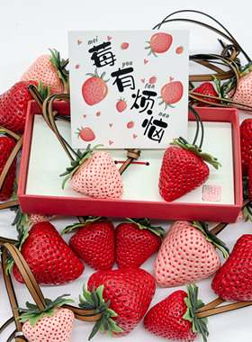小红书同款喜上莓梢莓有烦恼草莓挂件树脂奶油草莓女包挂件大草莓
