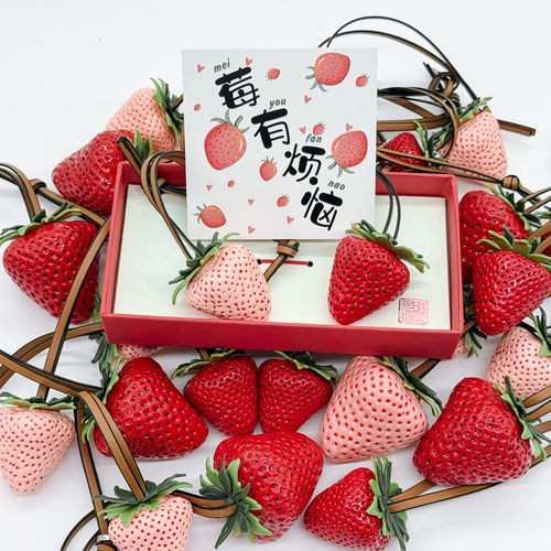 小红书同款喜上莓梢莓有烦恼草莓