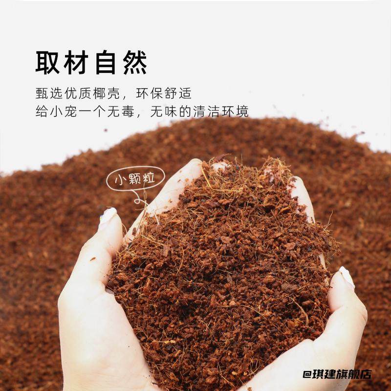 乌龟冬眠保湿保暖垫料苔藓免洗冬眠乌龟沙巴西龟无菌防寒冬眠箱,饰品/流行首饰/时尚饰品新,椰蒂,淘宝优惠券,粉丝福利购,淘宝优惠卷