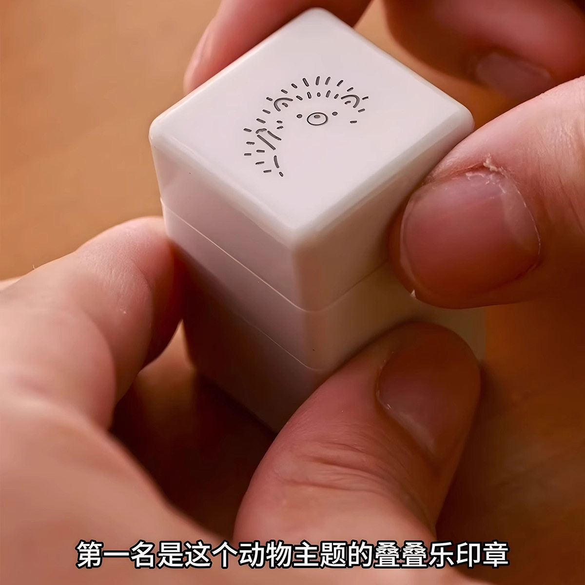 树懒盖章三合一动物印章手账小猫刺猬三合一印章竖线礼物三合一