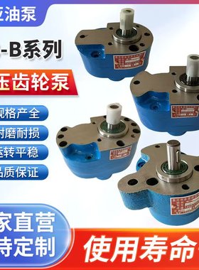 CB-B2.5/B4/B6/B10/B16/B20/B25/B32/40/63/50/100/125F齿轮泵TH