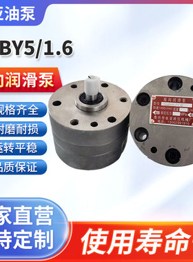 SNBY5/1.6双向润滑油泵SNBY2.5/1.6减速机润滑SXF-4.5双向齿轮泵