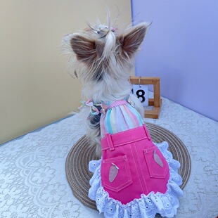 小狗狗衣服泰迪比熊约克夏春秋季薄款连身裙小型犬可爱小裙子春天