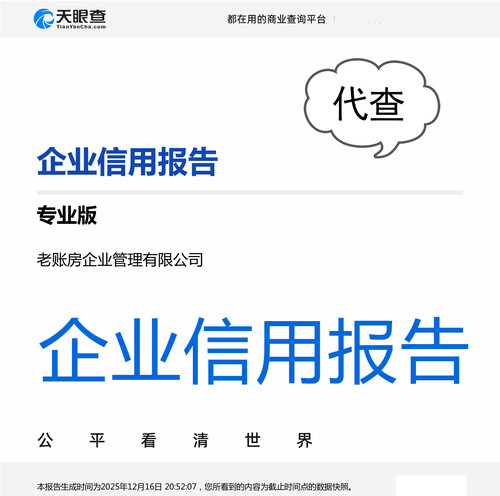 天眼查专业版信用报告代查天眼查代查企业分析报告专业版企业报告