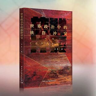 正版新书现货 世界政治中的族群冲突  王伟  著 中国社会科学出版 9787522703466