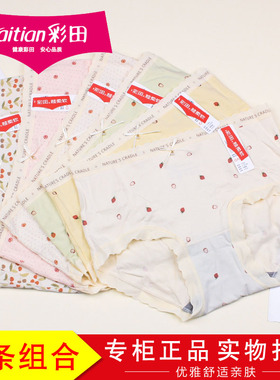 3条装彩田女士莫代尔棉亲肤内裤15802舒适透气蕾丝花边短裤15803