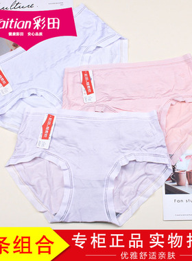 3条装彩田清凉感莫代尔棉女士内裤15229舒爽透气175大版短裤15231