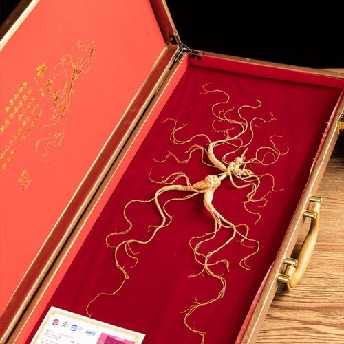 林下野山参长白山高年份足参龄人参林下参移山参一等参高档礼盒装