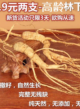 19.9元2支长白山高年份人参林下参高龄野老山参散装 礼盒泡酒煲汤