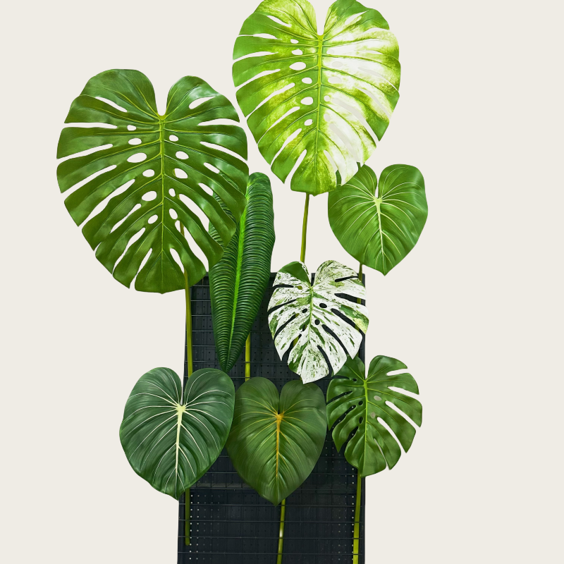 超大龟背叶彩叶芋高仿真植物