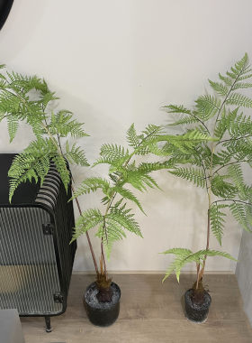 仿真猴头蕨盆栽植物高品质