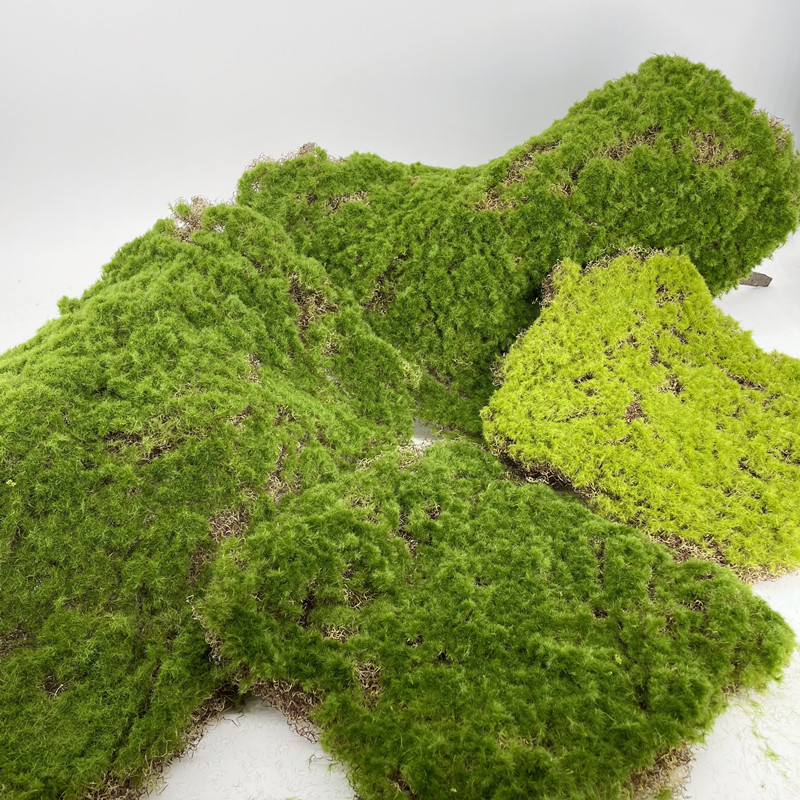 苔藓草坪青苔植绒草皮绿色景观造景装饰室内软装绿植墙面假山摆放,鲜花速递/花卉仿真/绿植园艺,仿真绿植,淘宝优惠券,粉丝福利购,淘宝优惠卷