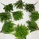 仿真绿植塑料蕨草松针草假草商场造景装 饰植物软装 插花配材小草