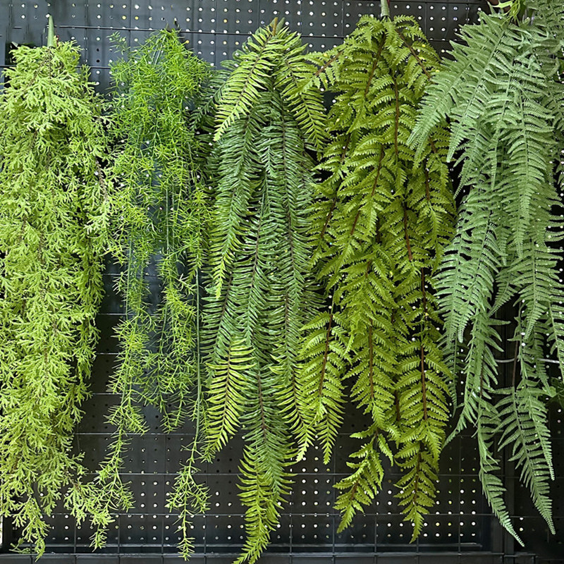 蕨类植物壁挂蕨草波斯蕨软胶大把