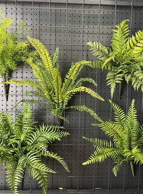 高仿真绿色蕨类植物肾蕨大叶蕨草热带雨林软胶绿植墙面景观造景