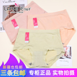 中腰25601高腰25323加大码 花仙子舒适莫代尔棉内裤 25325 包邮 三条