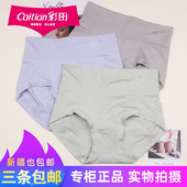 三条 15208 15282舒适莫代尔棉透气内裤 包邮 彩田女士轻收腹短裤