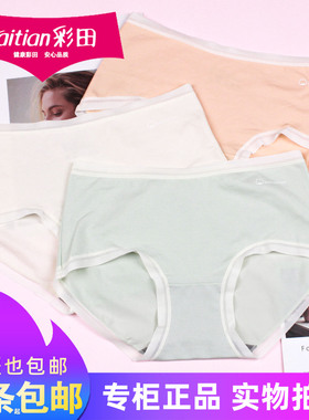 三条包邮彩田舒适新疆云柔棉短裤32701轻薄透气女士纯棉内裤32702