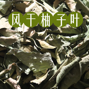 风干柚子叶除晦气除秽叶子植物祈福乔迁沐浴洗澡泡澡去晦气