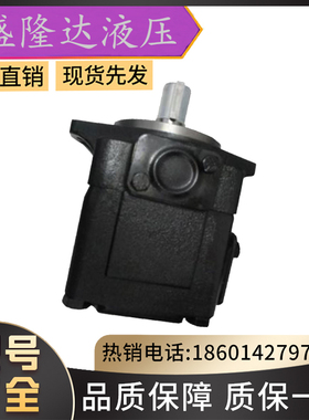 全新Denison丹尼逊T6CCW-017-006-2R01-C110叶片泵双联高压泵现货