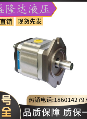 德国进口艾可勒齿轮泵ECKERLE/EIPC3-032RA23-10注塑机伺服油泵