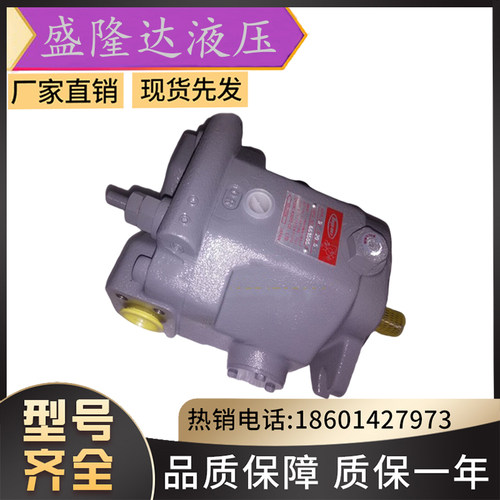 电动TOYOOKI液压柱塞泵HPP-VD3V-F/L25A3/5-EE-A丰兴铸铁定量泵