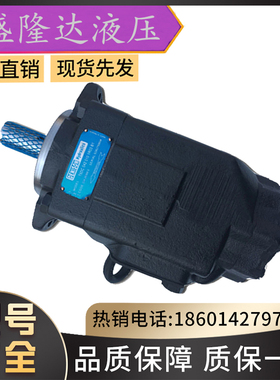 丹尼逊叶片泵T6D-038-2R01-B1/T7DS/派克高压 压铸机液压油泵现货