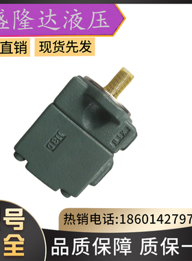 日本油研双联叶片泵YUKEN加长版油泵S-PV2R34-116-184-F-RAAA-30