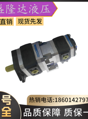 ECKERLE德国艾可勒EIPC5-080RA23-10注塑机压铸机高压内啮齿轮泵