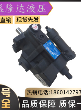 全新油升YEOSHE液压泵AR16FR01BK10Y-1005铸铁压铸机械柱塞泵包邮