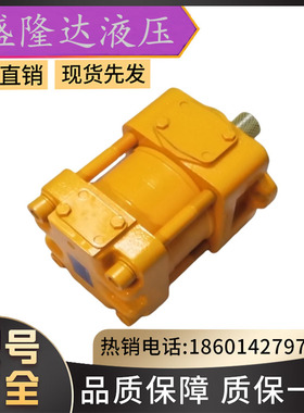 全新日本SUMITOMO住友齿轮泵CQTM42-20FV-3.7-3R泵头液压泵高压泵